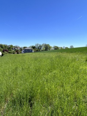 Ihr exklusives Baugrundstück in begehrter Lage von Lautertal!, 96486 Lautertal, Wohngrundstück