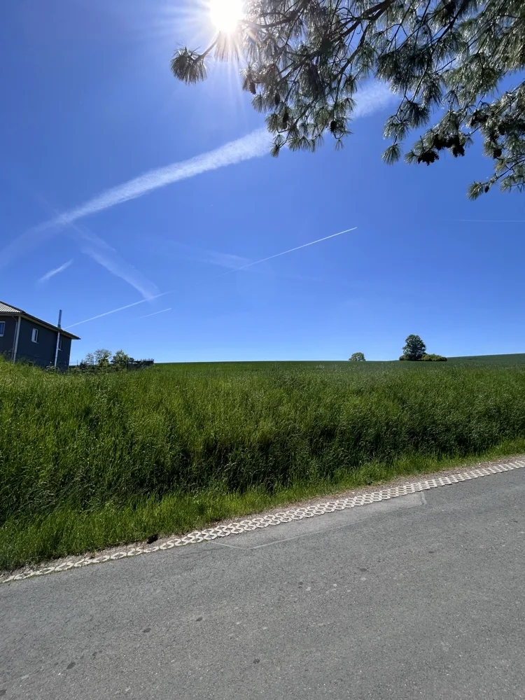Titelbild