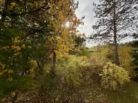 Blick vom Balkon