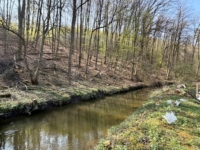Blick auf den Fluss Röden
