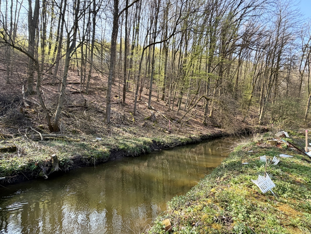 Blick auf den Fluss Röden