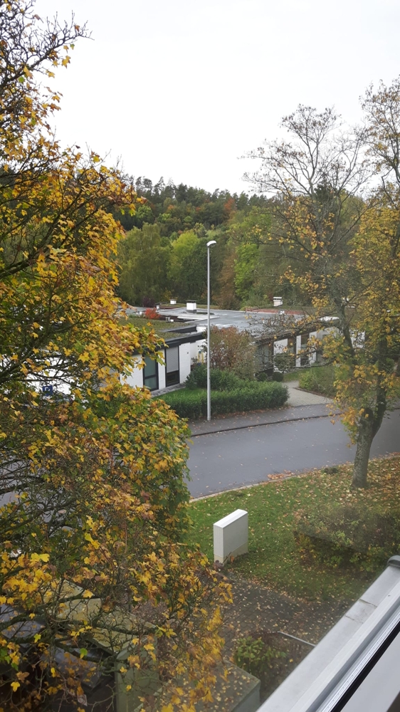Ausblick