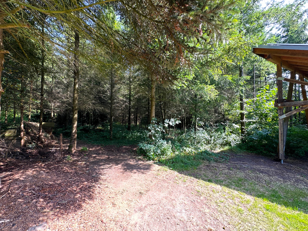 Wald