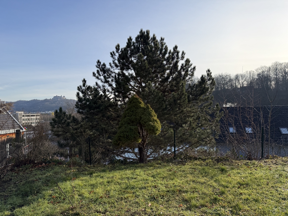 Aussicht