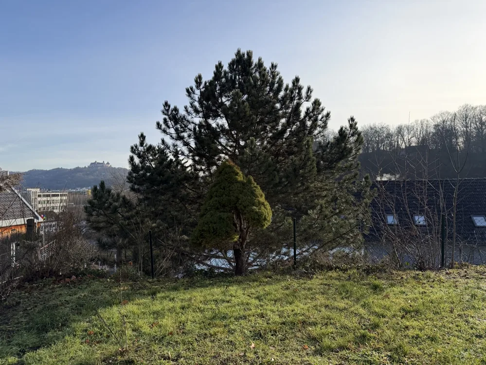 Aussicht