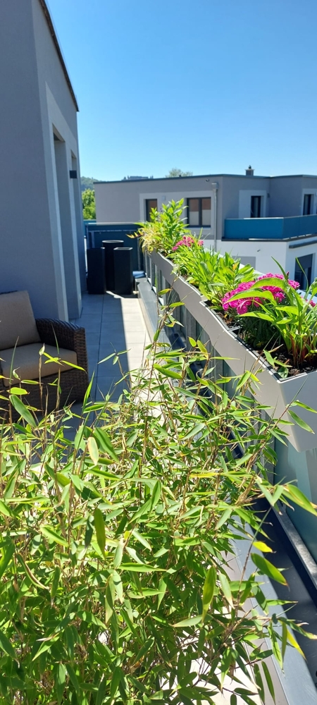 Dachterrasse