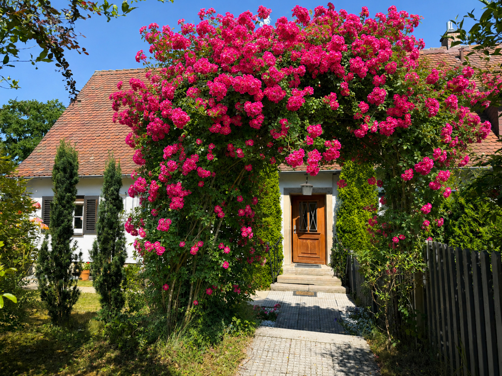 Straßenansicht